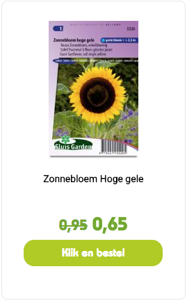 Zonnebloemzaden